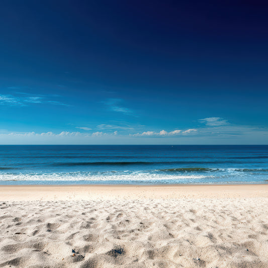 Playa tropical con océano azul y cielo despejado